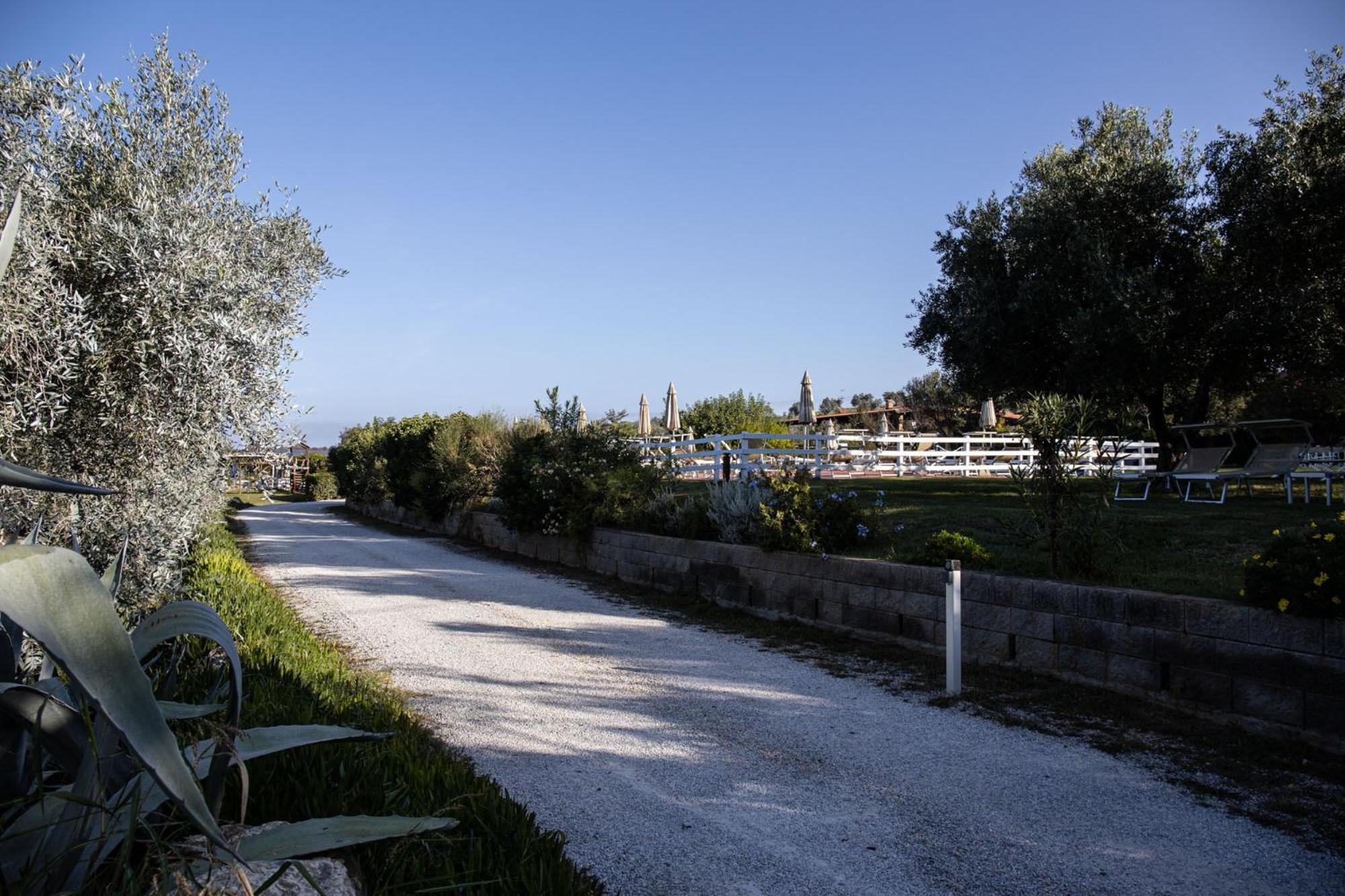 Agriturismo Podere L'Agave Σαν Βιντσέντσο Εξωτερικό φωτογραφία