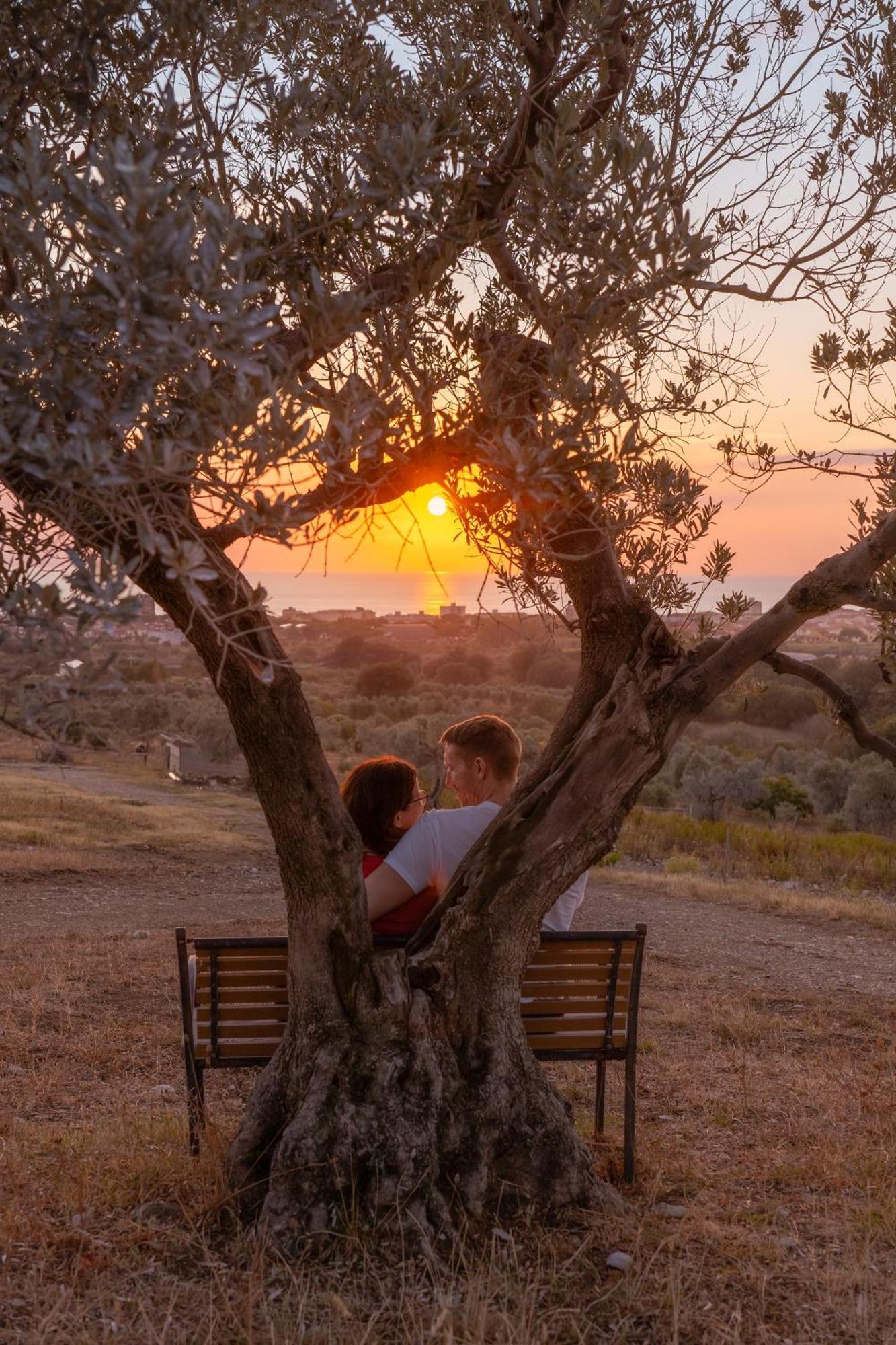 Agriturismo Podere L'Agave Σαν Βιντσέντσο Εξωτερικό φωτογραφία