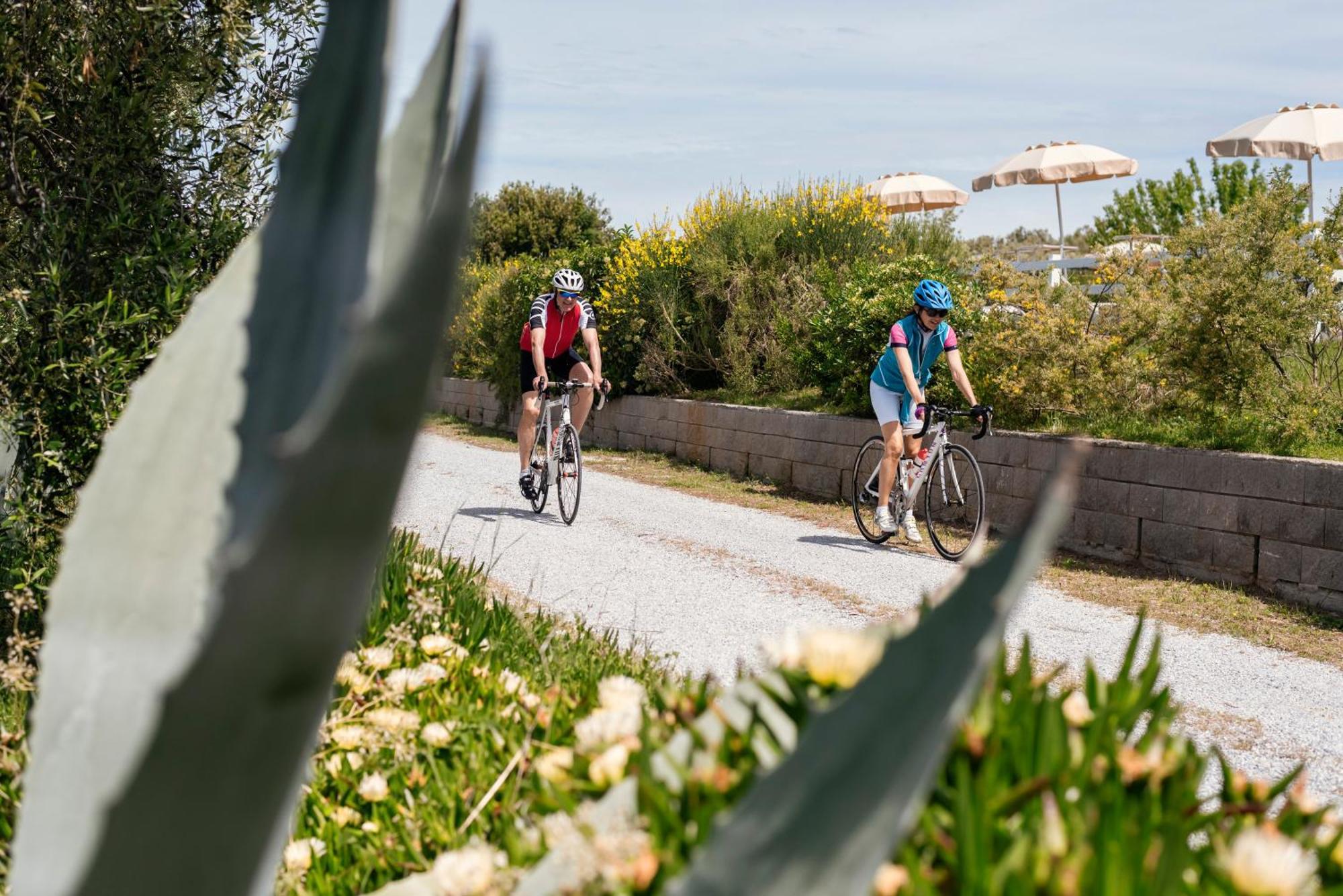 Agriturismo Podere L'Agave Σαν Βιντσέντσο Εξωτερικό φωτογραφία