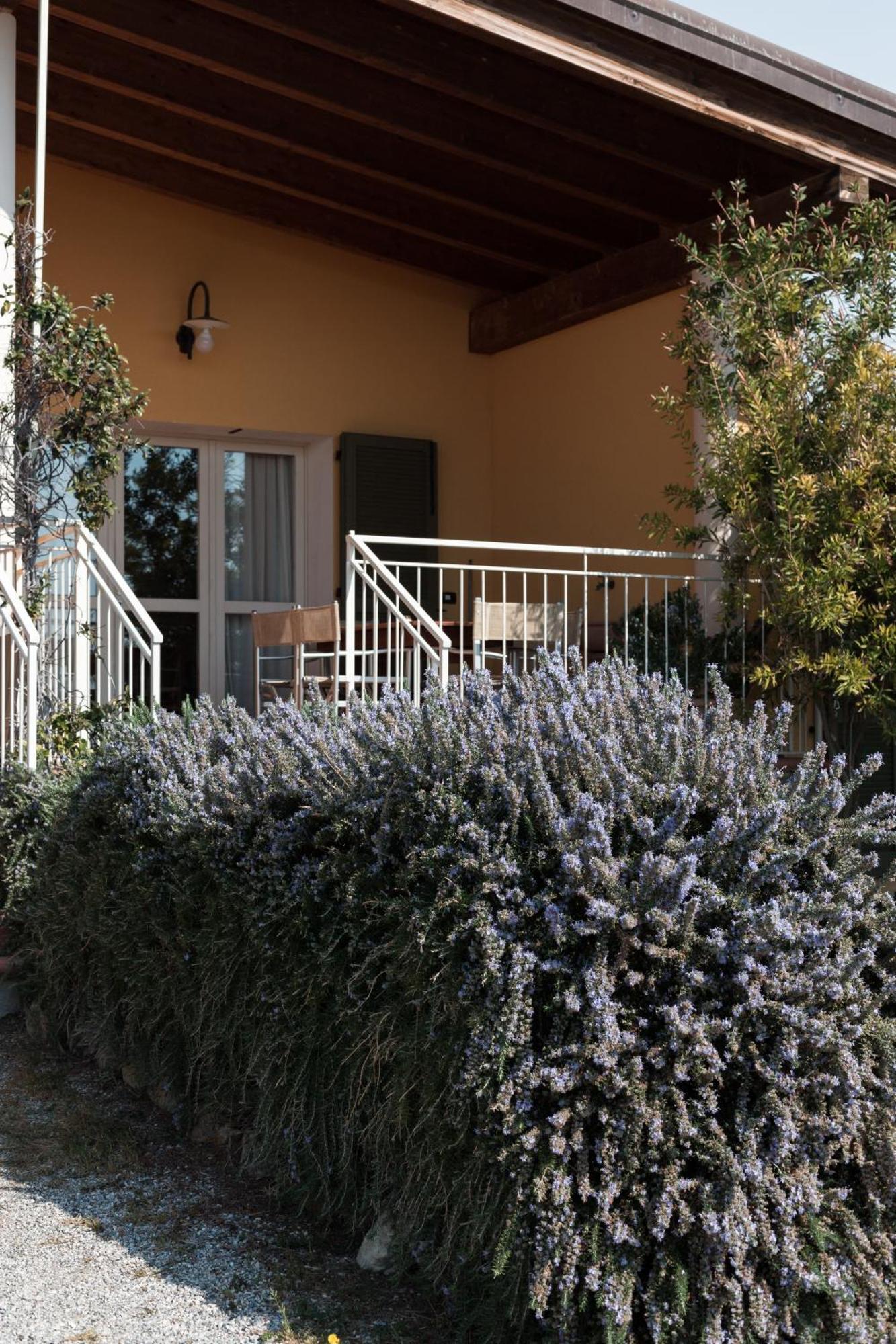 Agriturismo Podere L'Agave Σαν Βιντσέντσο Εξωτερικό φωτογραφία